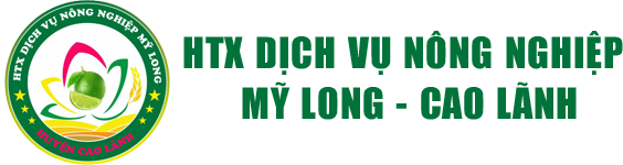 HTX DVNN Mỹ Long – Cao Lãnh