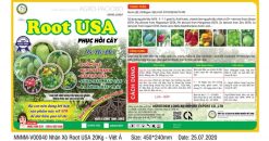 PHÂN XÔ ROOT USA